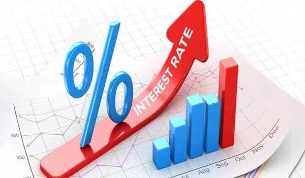 Purva Northern Lights Bank Interest Rate Impact