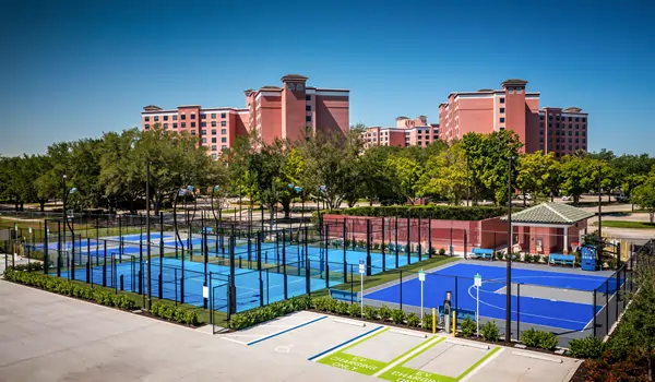 Purva Northern Lights Clubs & Activities