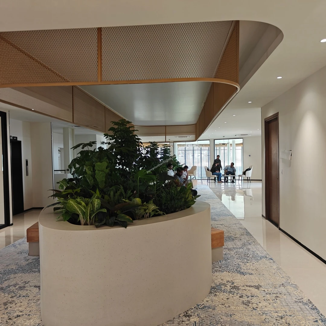 Central consultation area featuring distinct planter aesthetics and seating at the Purva Northern Lights office, updated mar-13