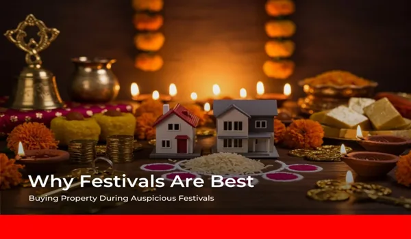 Purva Northern Lights Festive & Limited-Time Offers
