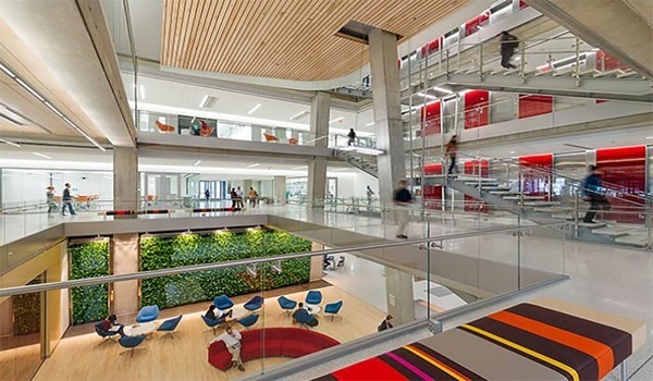 Purva Northern Lights Latest Photos