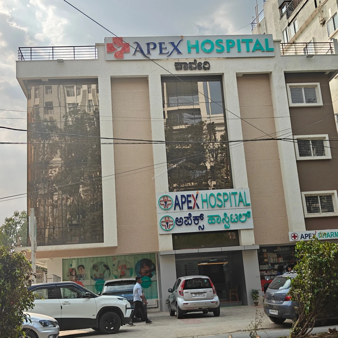 Street view taken Mar 13 featuring the prominent Apex Hospital signage indicating reliable emergency services close to Purva Northern Lights.