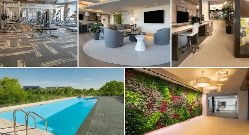 Modern Homes Designed for Rental Comfort