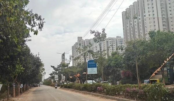 Street view showing the access road lined with trees and nearby occupied high-rise apartments near Purva Northern Lights Bagalur Road