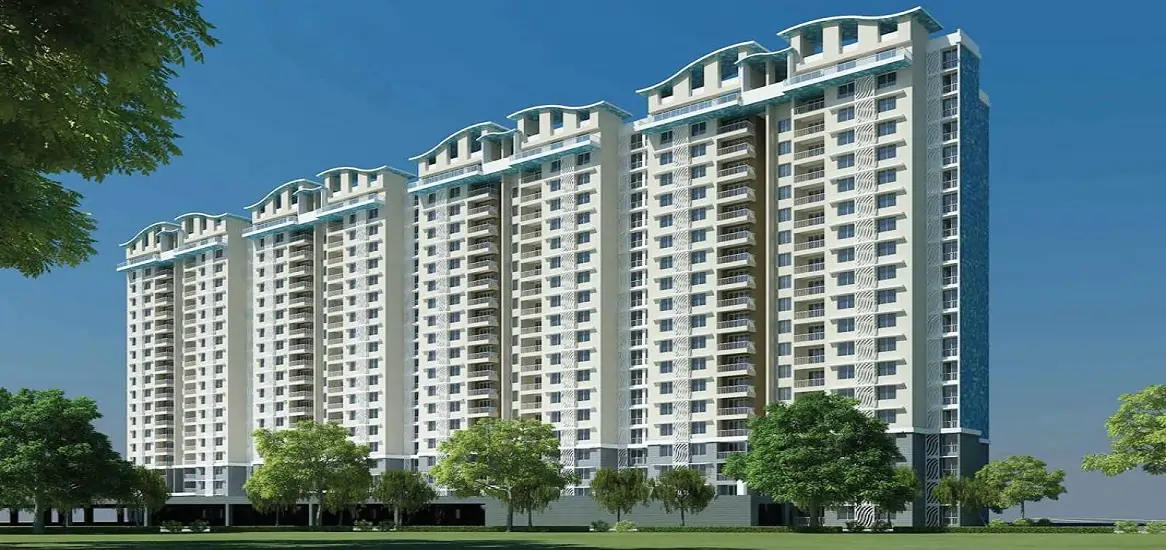 Purva Northern Waves