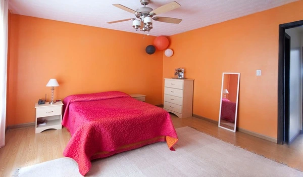 Wall Paint and Finish – Purva Northern Lights